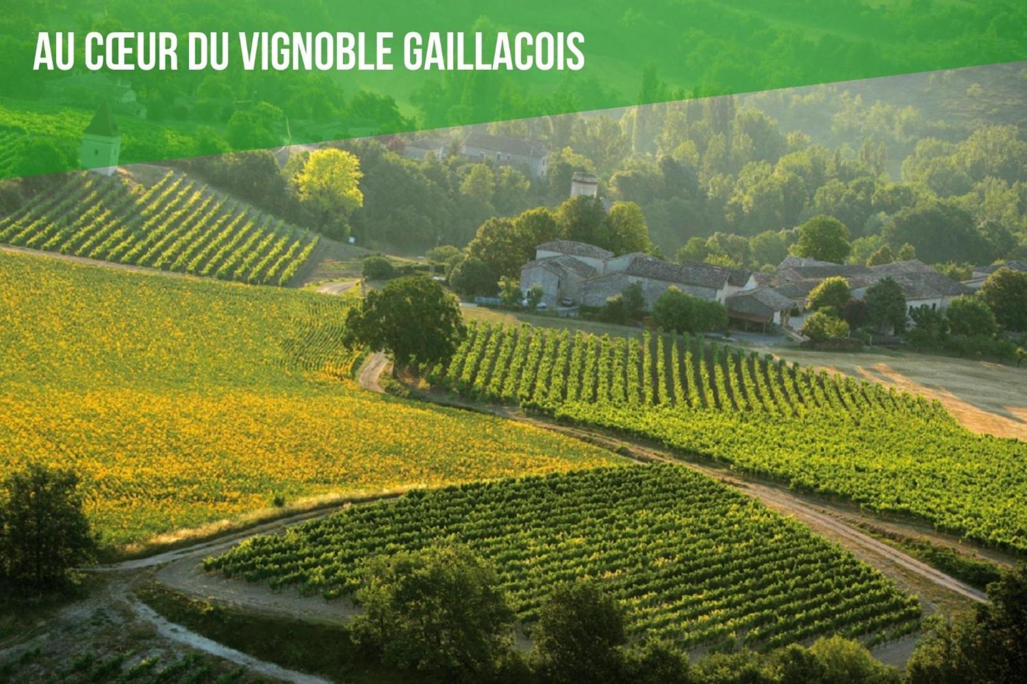 Le Cottage Nature Vigne Rouge Sauna Gaillac Entre Albi-Toulouse & Les Cottages Du Tarn Brens  Ngoại thất bức ảnh