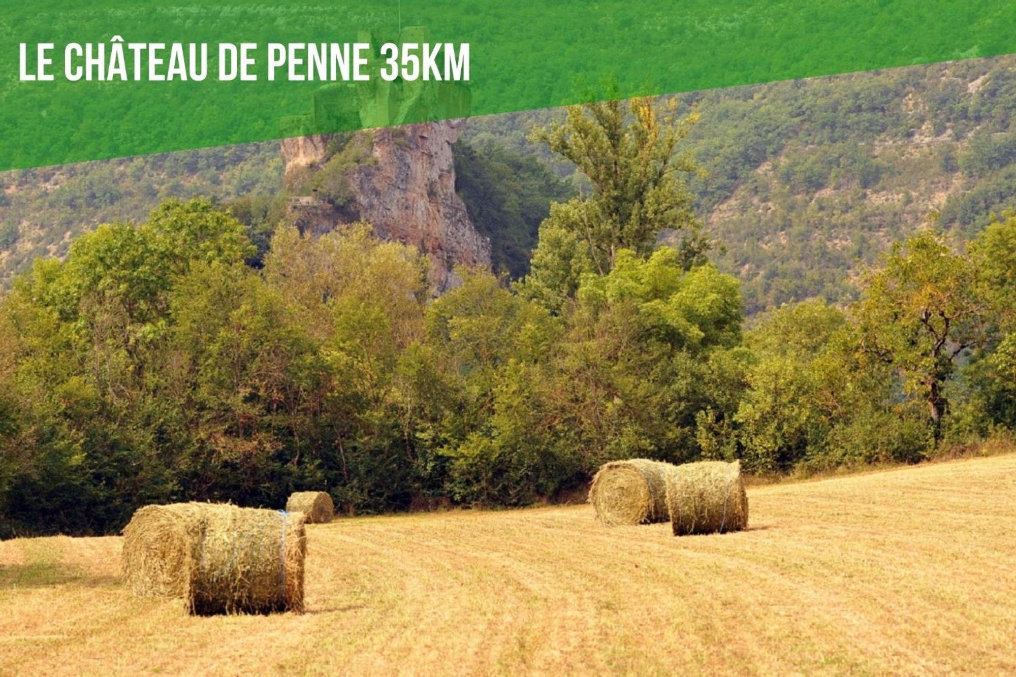 Le Cottage Nature Vigne Rouge Sauna Gaillac Entre Albi-Toulouse & Les Cottages Du Tarn Brens  Ngoại thất bức ảnh