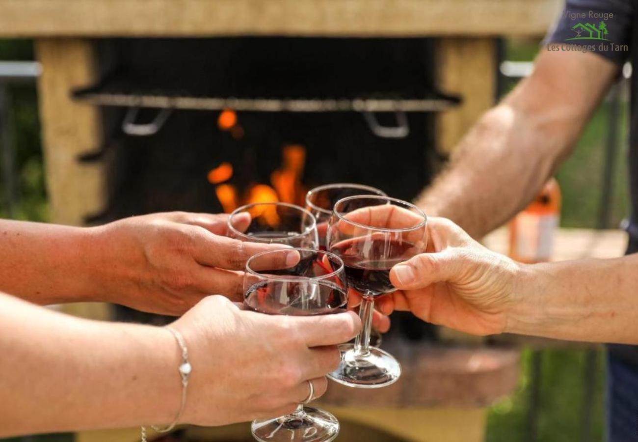 Le Cottage Nature Vigne Rouge Sauna Gaillac Entre Albi-Toulouse & Les Cottages Du Tarn Brens  Ngoại thất bức ảnh